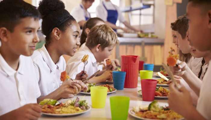 Projekte mit kindern in der grundschule gesunden ernährung